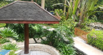 南寧嘉和城溫泉谷游覽全攻略 門票、地址、游玩路線與管理解析